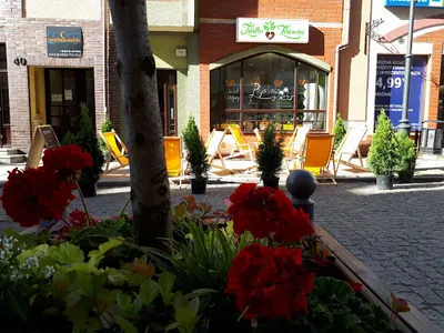 DIETETYK Agnieszka Mrozkowiak-Górska, gabinet dietetyczny Głogów